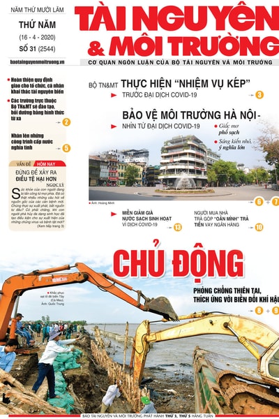 Số 31