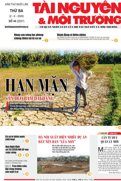 Số 44