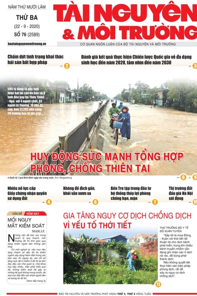 Số 76