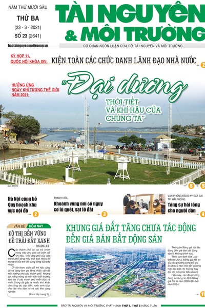 Số 23