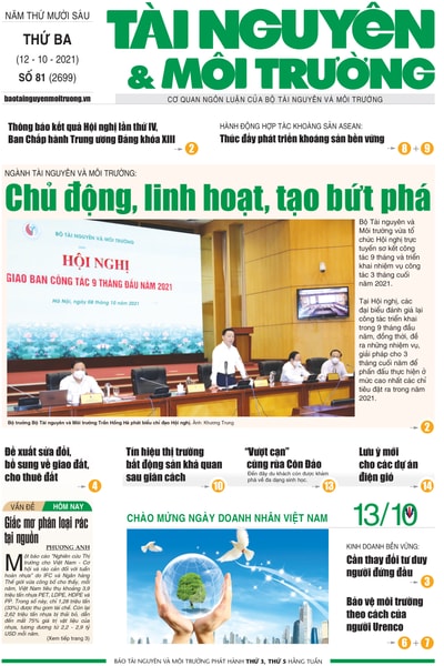 Số 81