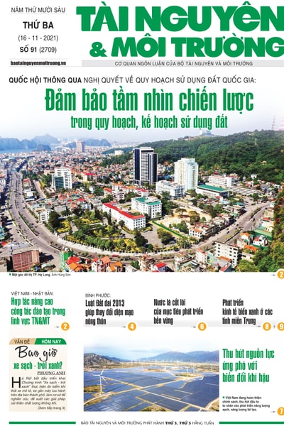 Số 91