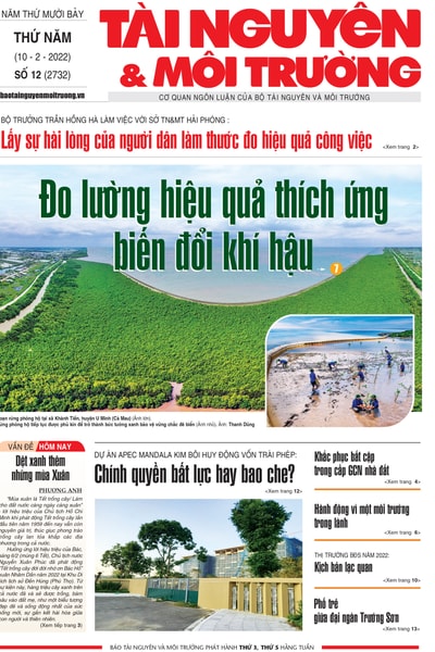 Số 12