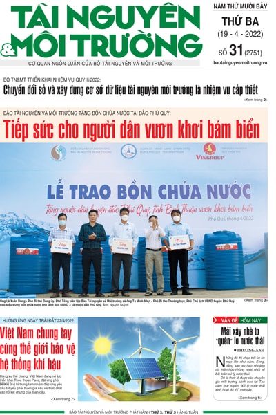 Số 31