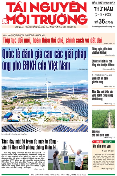 Số 36
