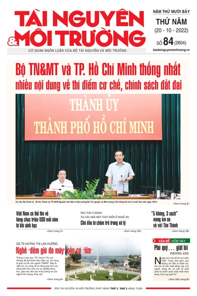 Số 84