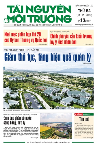 số 13