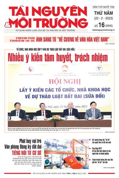 Số 16