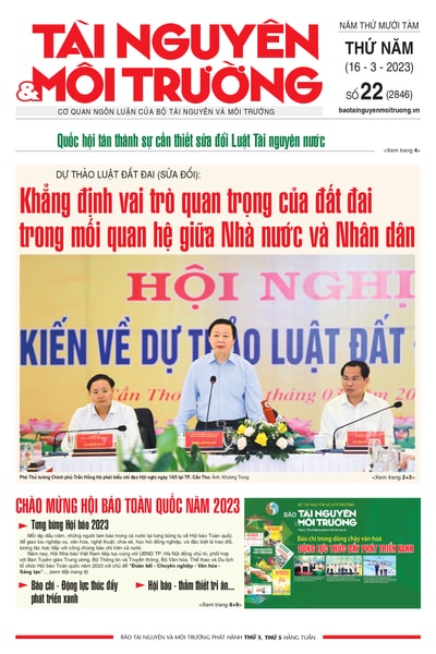 Số 22