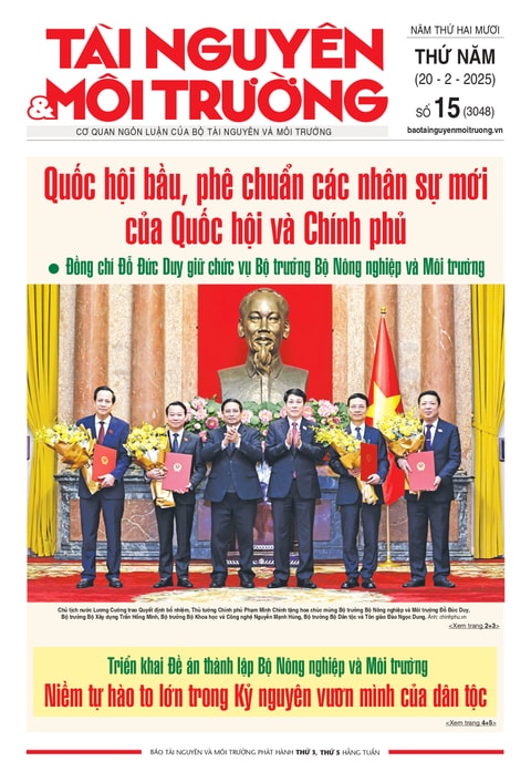 số 15 (3048)