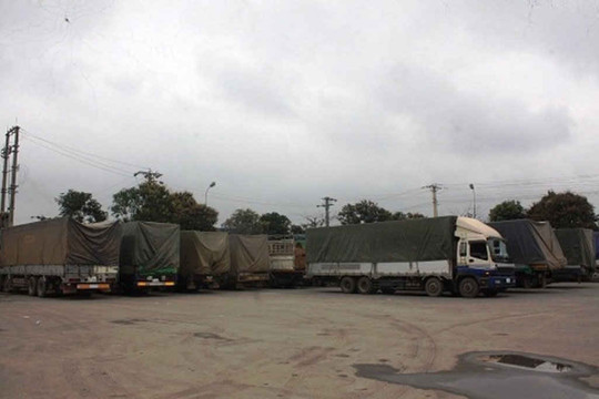 Nghệ An: Xử phạt 110 triệu đồng xe chở gỗ "khủng"