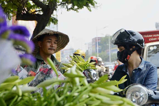 Hoa loa kèn tràn ngập phố phường Hà Nội