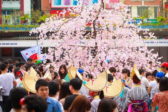 Hoàng thành Thăng Long sẽ là điểm diễn ra Lễ hội Hoa Anh đào Nhật Bản 2015