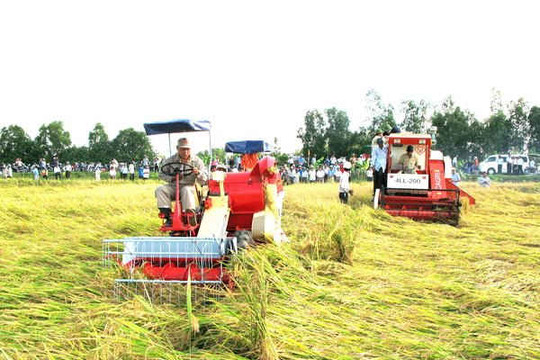 Đề xuất chính sách đột phá tín dụng nông nghiệp cho vùng ĐBSCL