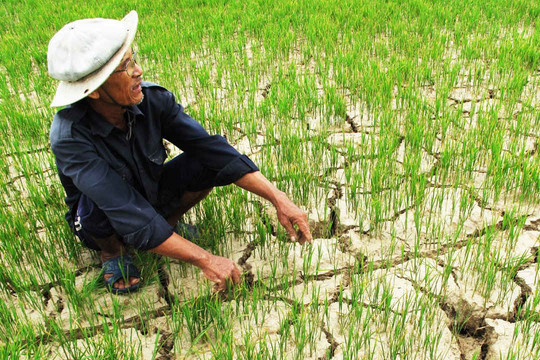 Bình Thuận: Thiếu hụt nguồn nước trầm trọng  do biến đổi khí hậu