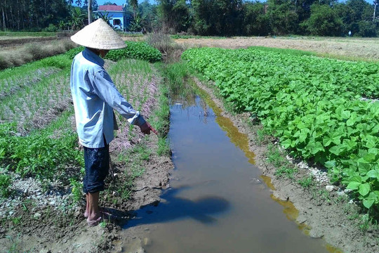 Thừa Thiên - Huế:  Dự án nước thải thiếu vốn, làng bún vẫn ô nhiễm
