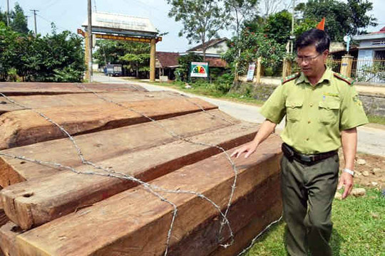 Bắt Trạm trưởng bảo vệ rừng Cà Nhông vì tội nhận hối lộ