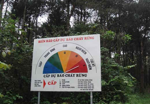 Cảnh báo cháy rừng cấp cực kỳ nguy hiểm tại 9 điểm rừng ở Đồng Tháp