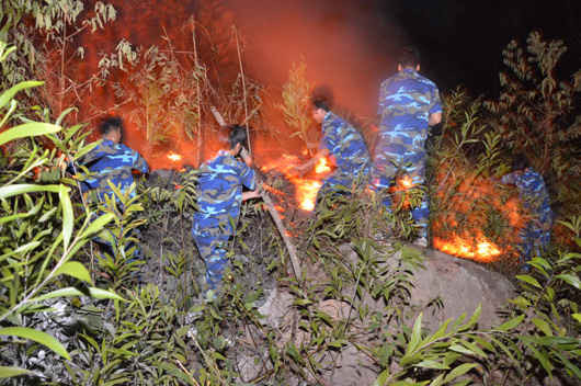 Kiên Giang: Tăng cường công tác phòng cháy, chữa cháy rừng