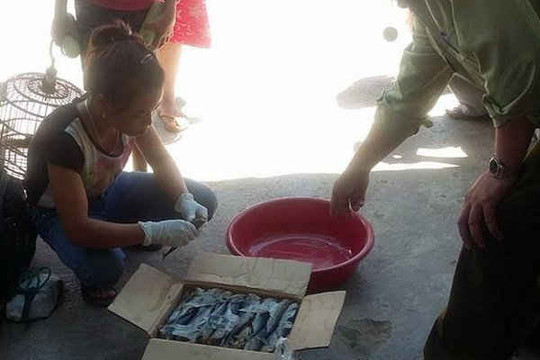 Lào Cai: 3 vụ ngộ độc do ăn cá khô nục, 11 người nhập viện