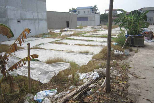 Khó nhân rộng mô hình xử lý nước thải làng nghề chế biến tinh bột sắn Tân Hòa