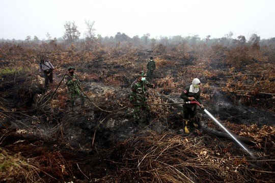 Cháy rừng ở Indonesia hại láng giềng