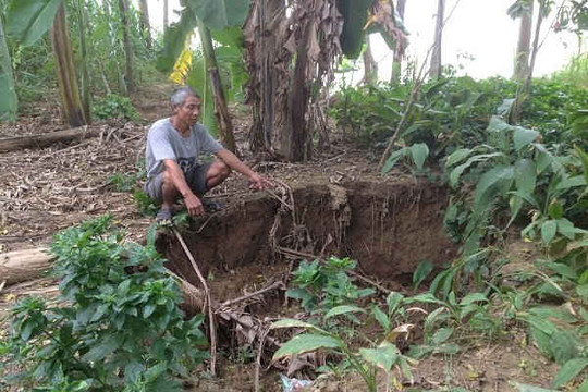 Yên Định - Thanh Hóa: Cần sớm tìm ra nguyên nhân sụt, lún đất trong vườn nhà dân