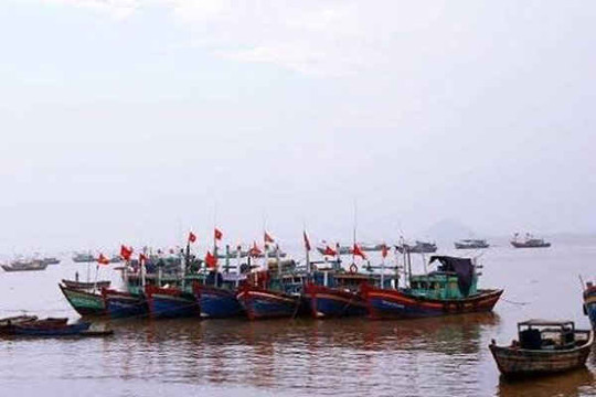 Bắt giữ 3 tàu cá vì dùng kích điện để khai thác thủy sản