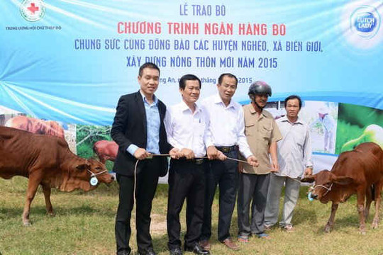 FrieslandCampina Việt Nam tiếp tục trao tặng bò cho nông dân Long An