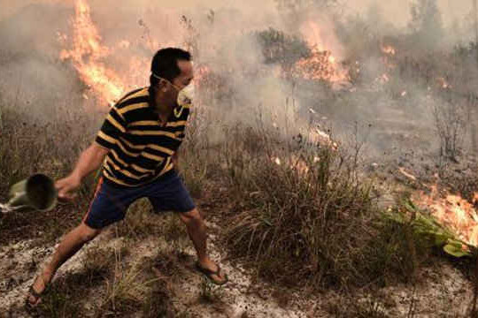 Indonesia: Cháy rừng tồi tệ nhất trong lịch sử