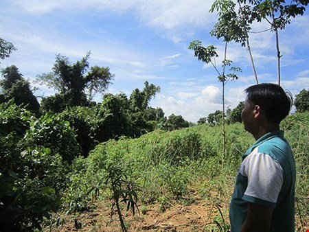 Thanh tra Chính phủ kết luận sai phạm quản lý đất tại Bình Phước