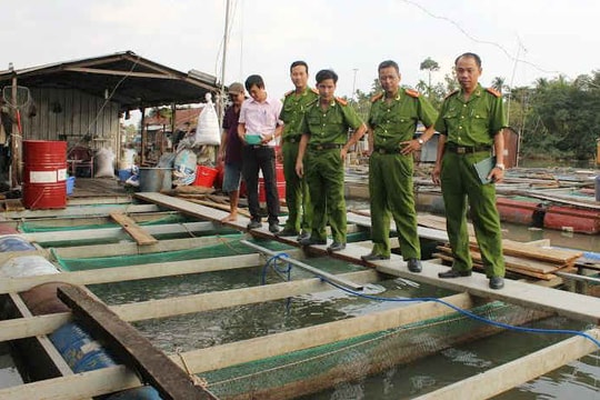 Cục Cảnh sát môi trường vào cuộc vụ cá bè chết hàng loạt