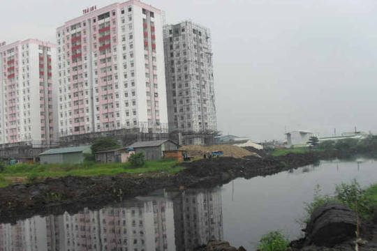 Năm năm nữa hy vọng tắm được trên kênh Tham Lương, Thị Nghè