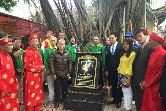 Thêm 2 cây cổ thụ được công nhận cây di sản Việt Nam
