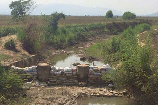 Bình Thuận: Hỗ trợ người dân giảm thiệt hại do hạn hán