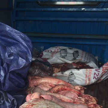 Thanh Hóa: Bắt giữ xe tải vận chuyển nội tạng động vật đã bốc mùi hôi thối