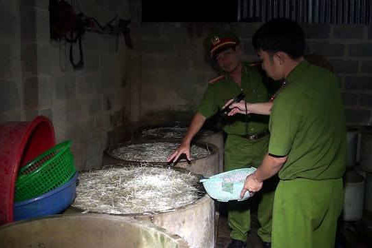 Bình Thuận: Phát hiện cơ sở sử dụng vôi bột để làm giá đỗ