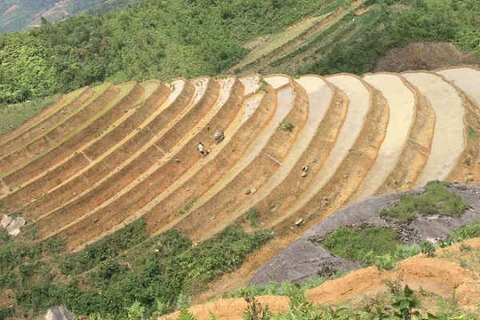 Ruộng bậc thang mùa nước nổi đẹp như tranh thủy mạc