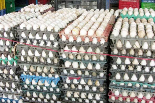 Sơn La: Thu giữ gần 10.000 quả trứng gia cầm không rõ nguồn gốc