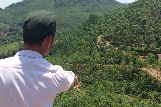 Lục Nam - Bắc Giang: Cần ngăn chặn nạn phá rừng sản xuất