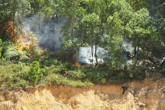 Hà Tĩnh: Đám cháy thiêu trụi  nhiều héc ta rừng thông giữa nắng gắt