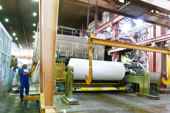 Sản xuất sạch hơn trong ngành giấy: Cơ hội tiết kiệm đến 30% nước