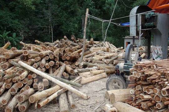 Làng nghề gỗ: Liên kết tạo sức cạnh tranh