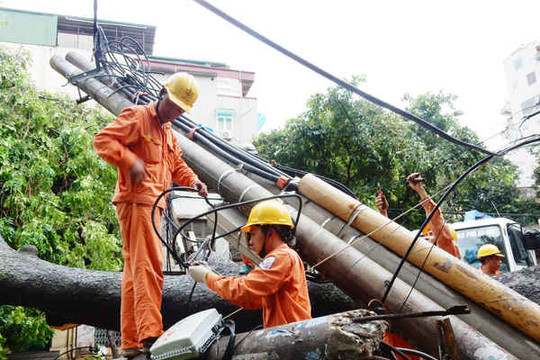 EVN Hà Nội khắc phục sự cố lưới điện sau bão số 1