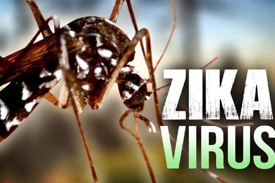 Phát hiện bệnh nhân nhiễm virut Zika tại Phú Yên