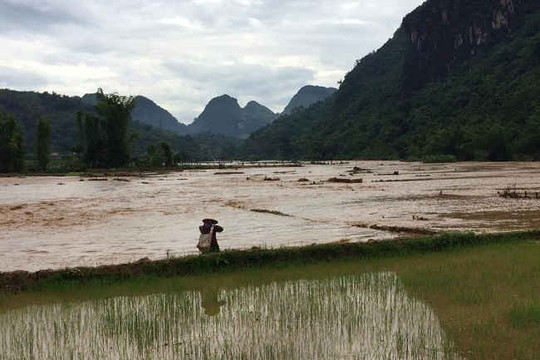 Sơn La: Thiệt hại hơn 2 tỷ đồng do mưa lũ