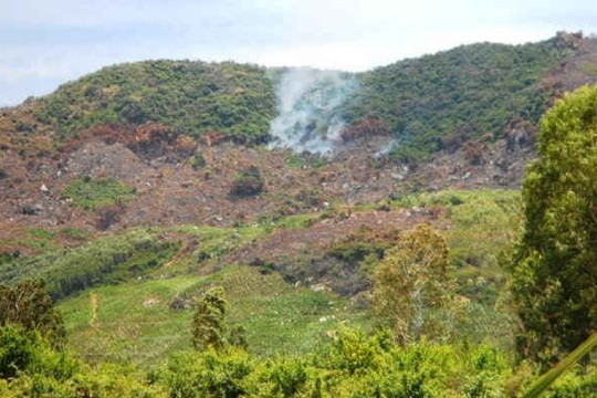 Bình Định: Cần xử lý nghiêm nạn phá rừng, lấn chiếm đất lâm nghiệp ở huyện Phù Mỹ