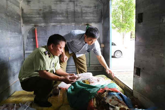Lào Cai: Bắt giữ hơn 1 tấn thịt bò và nội tạng động vật nhập lậu