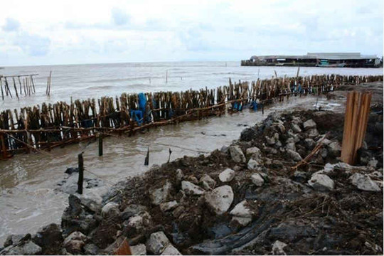 Cà Mau: Nhiều đoạn đê biển Tây đang bị sạt lở nghiêm trọng