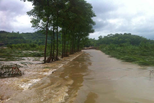 Nghệ An: Mưa lớn, lũ quét và lốc xoáy gây thiệt hại lớn